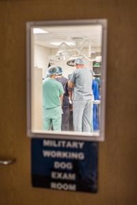 &quot;Drug Rehabs in Florida That Take Medicare